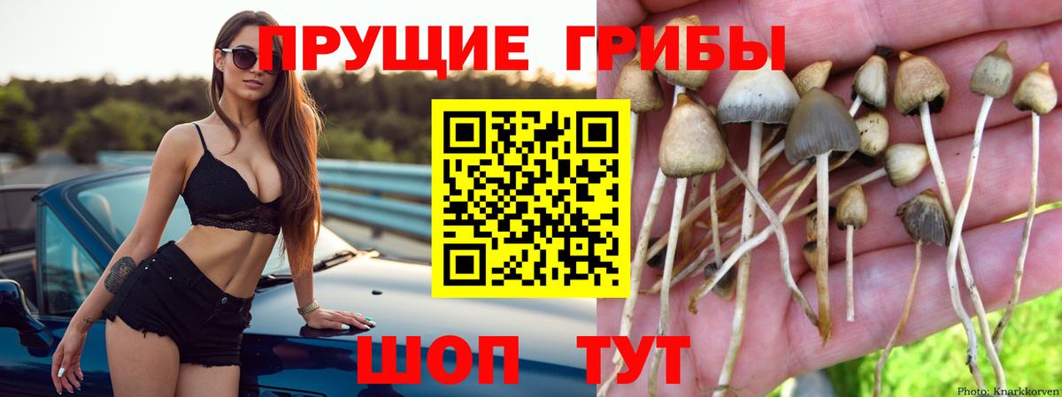Псилоцибиновые грибы мухоморы  Псилоцибиновые грибы прущие грибы  Волжск  Вход с VPN 